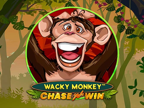 Wacky Monkey - Chase'N'Win thumbnail
