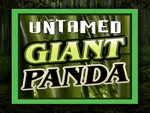 Untamed - Giant Panda game thumbnail